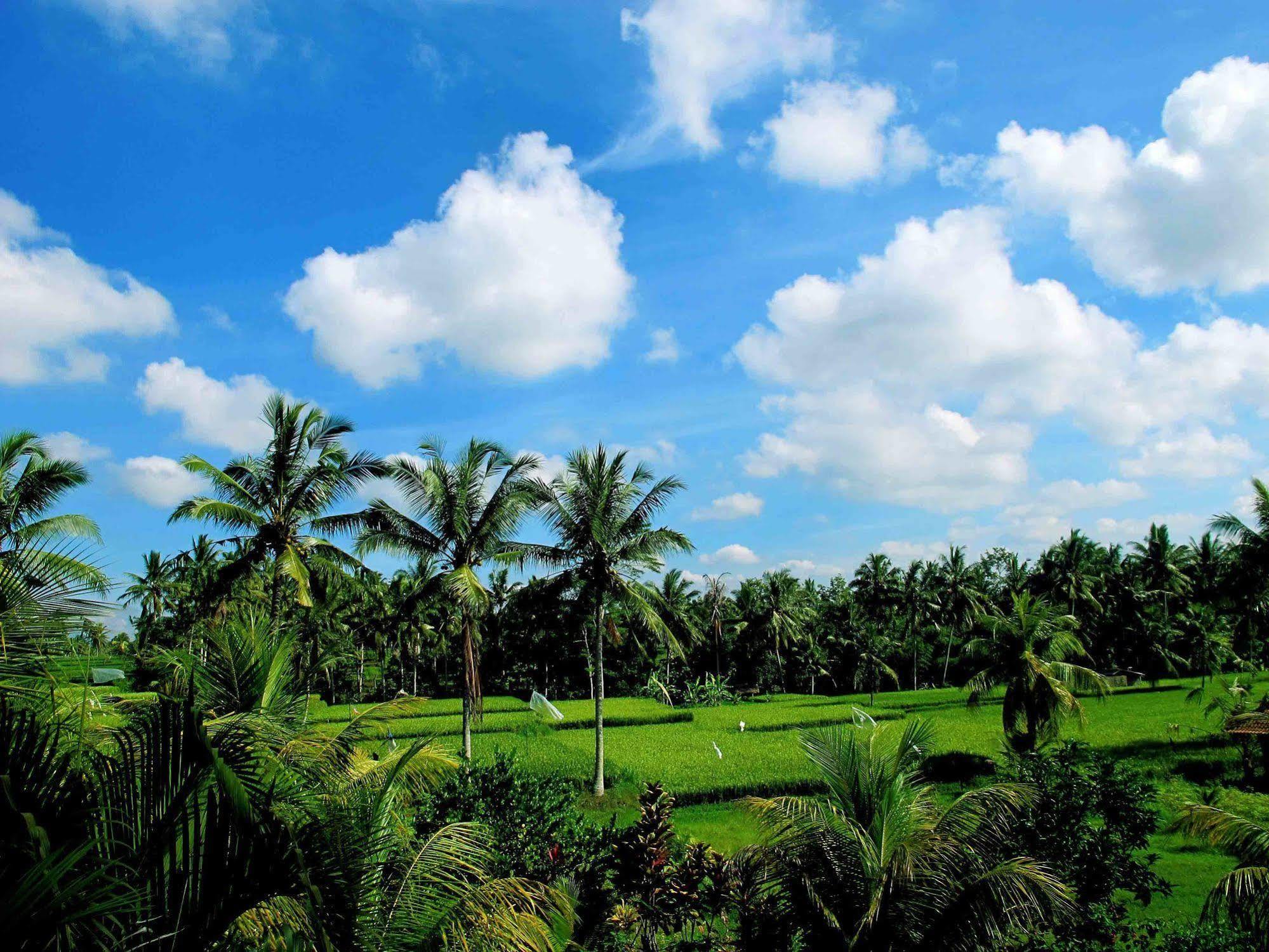 Puri Suksma Ubud Экстерьер фото